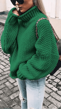 ÉLORIA - Chunky Knit Turtleneck Sweater