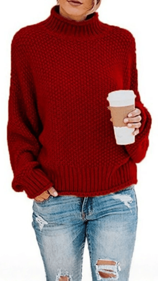 ÉLORIA - Chunky Knit Turtleneck Sweater
